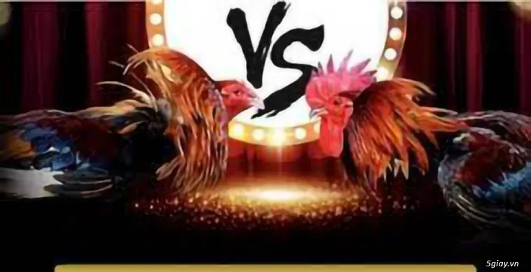 Đá Gà OnBet Giải Pháp Cá Cược Trực Tuyến Hàng Đầu Châu Á