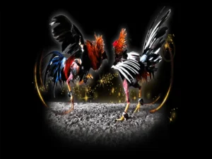 Hướng Dẫn Cách Chơi Đá Gà Sabong Tại OnBet Cho Người Mới