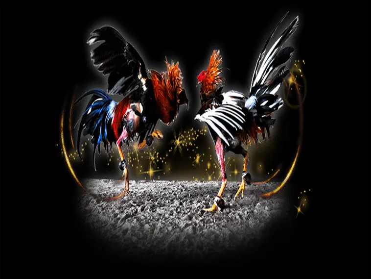 Hướng Dẫn Cách Chơi Đá Gà Sabong Tại OnBet Cho Người Mới 1 Hướng Dẫn Cách Chơi Đá Gà Sabong Tại OnBet Cho Người Mới